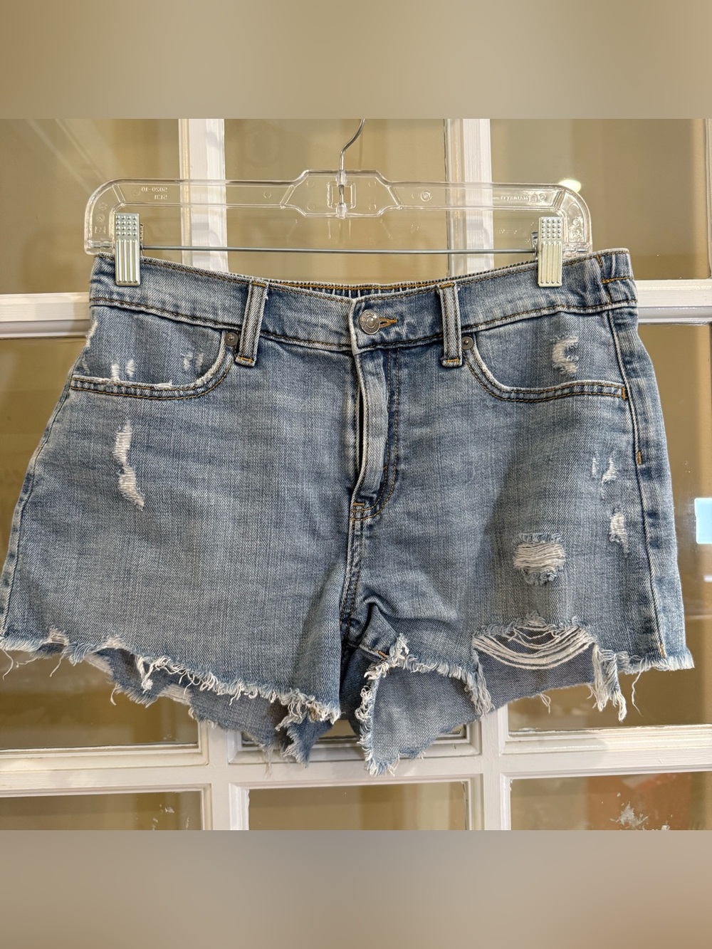 Aerie Daydreamer Distressed Jean Shorts Distressed Raw Hem Small